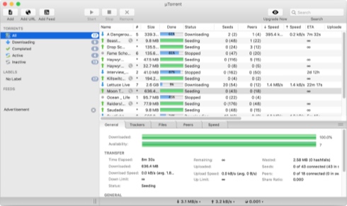 utorrent free download